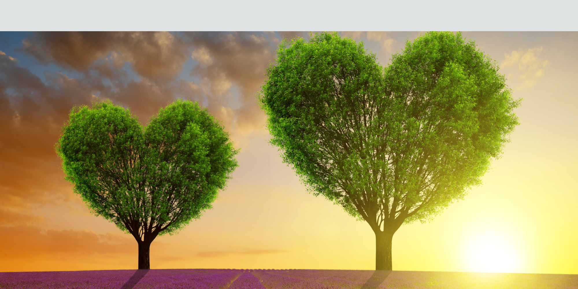 Parent/ Carer Mental Health